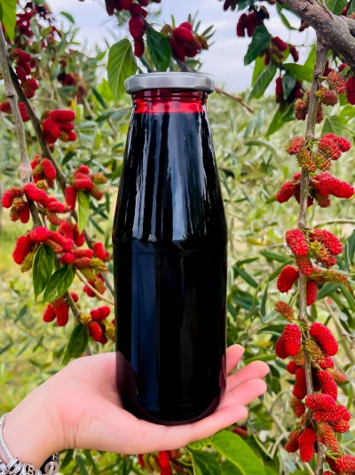 Karadut Özü 750 ml