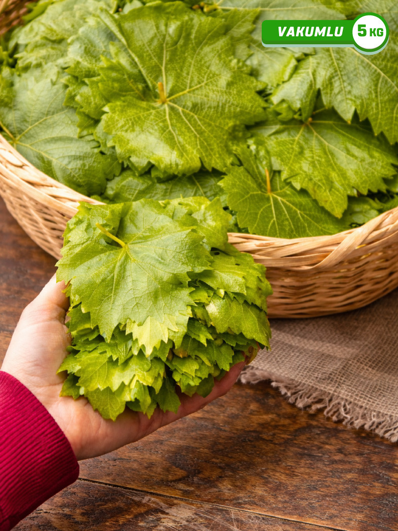 Vakumlu Taze Asma Yaprak 5 kg.