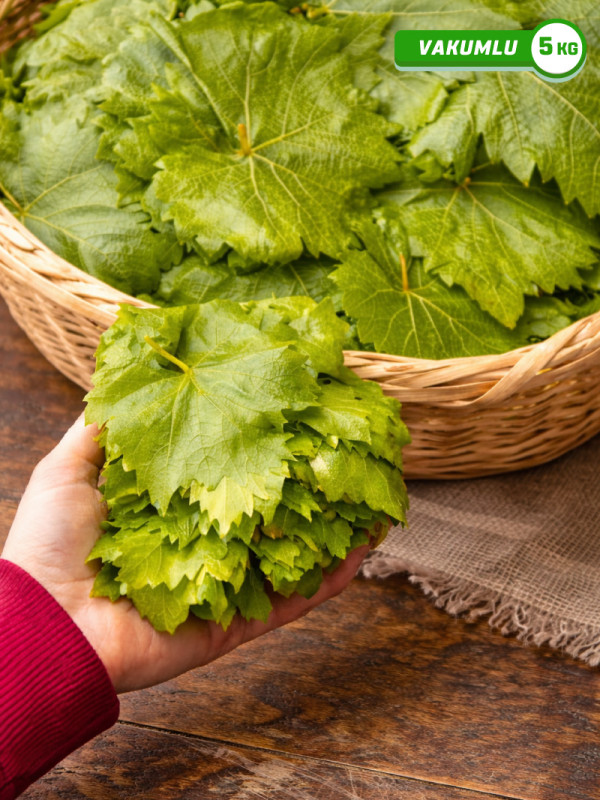 Vakumlu Taze Asma Yaprak 5 kg.