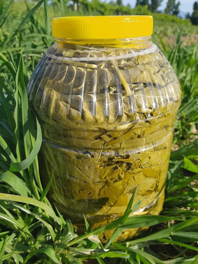 Salamura Yaprak 5'lik Bidon