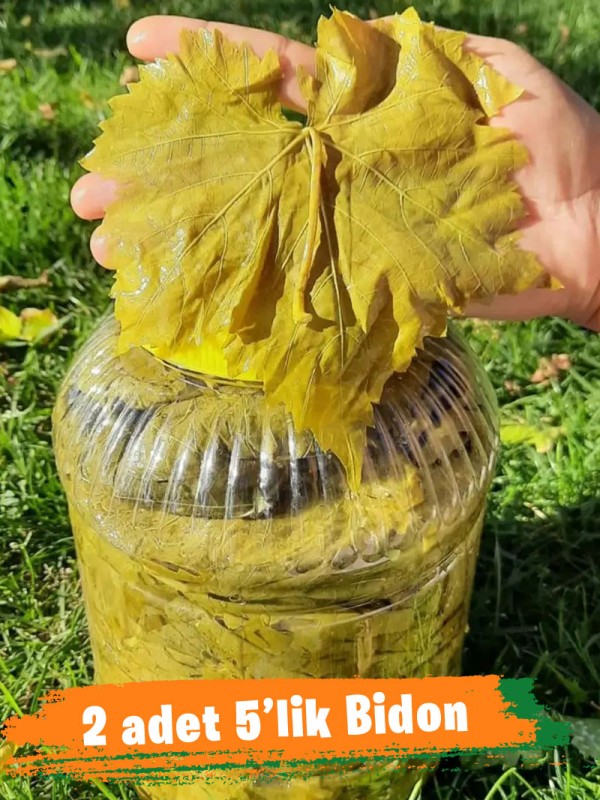 Salamura Yaprak 2x5'lik Bidon