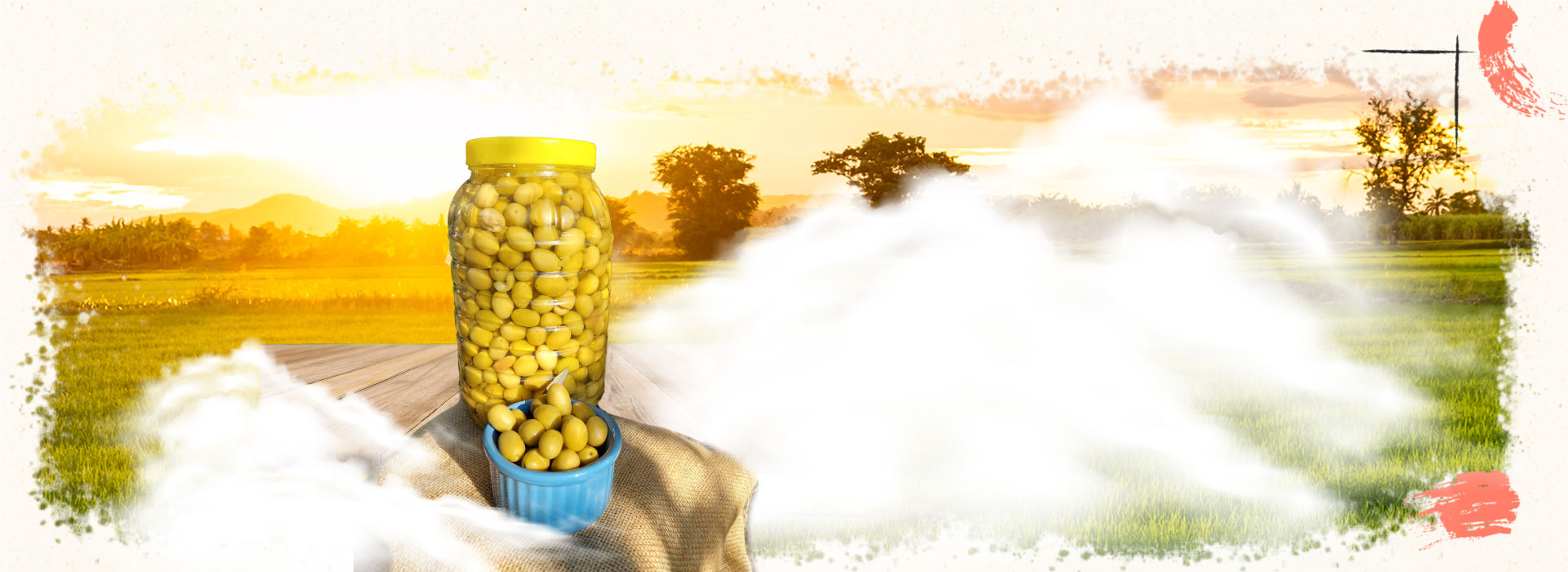 Yeşil Kırma Zeytin